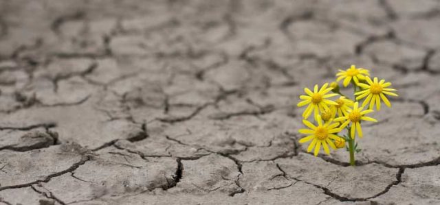 Surviving the New Normal - Intelemark.com