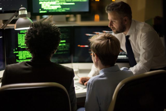 IT professionals